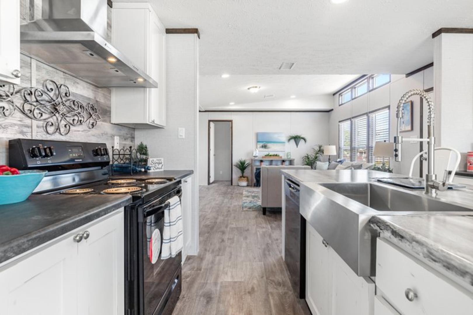 The Fiestanew vision12