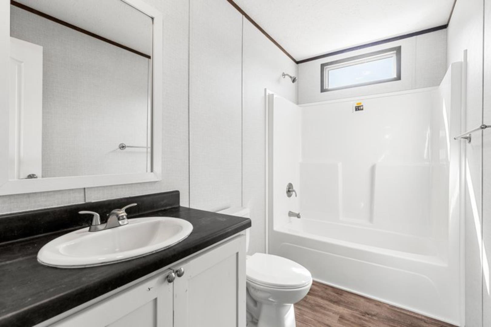 The Fiestanew vision4